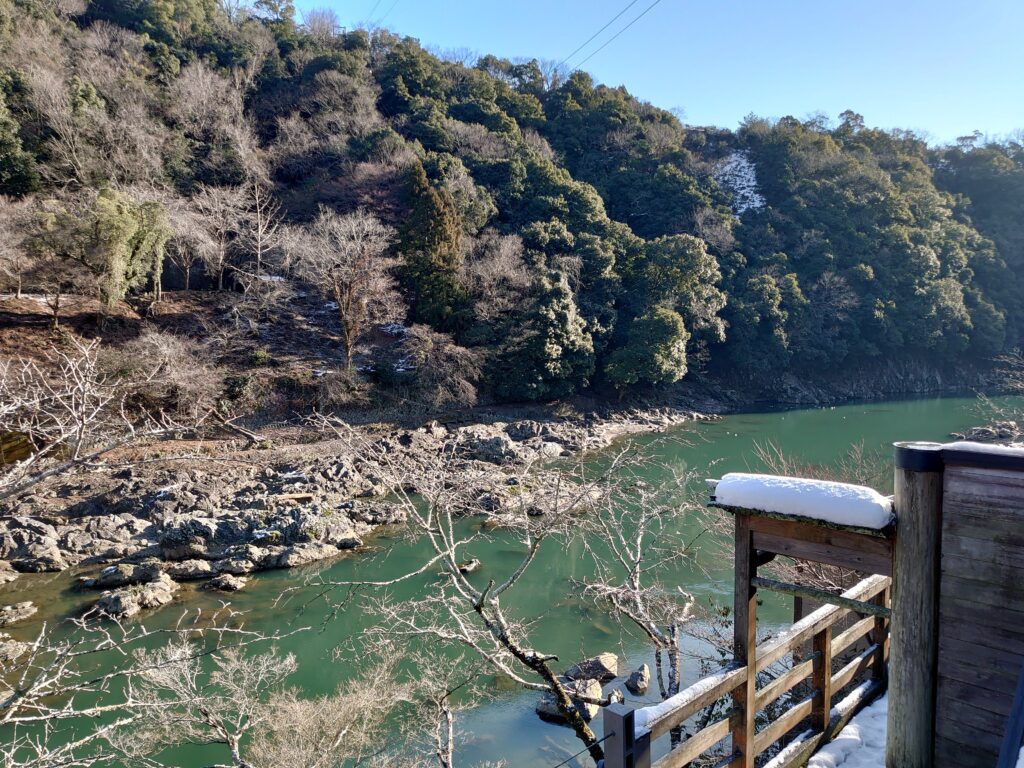 朝の光に照らされた渓谷の風景。新緑と岩場、穏やかな桂川の流れが広がる雄大な自然。